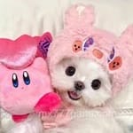 Avatar de Mia Franco